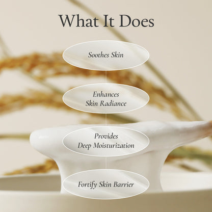 Rice Mask mascarilla de arroz