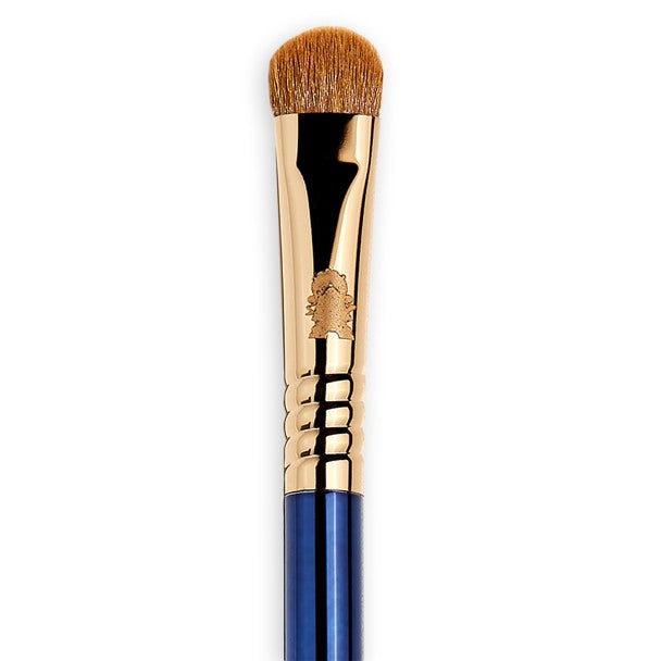 Sigma beauty and the beast brush set